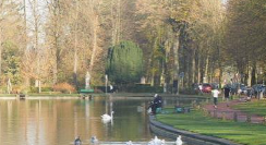 🌞Les rencontres de l’Ă©tĂ©: Parc de la Dodaine